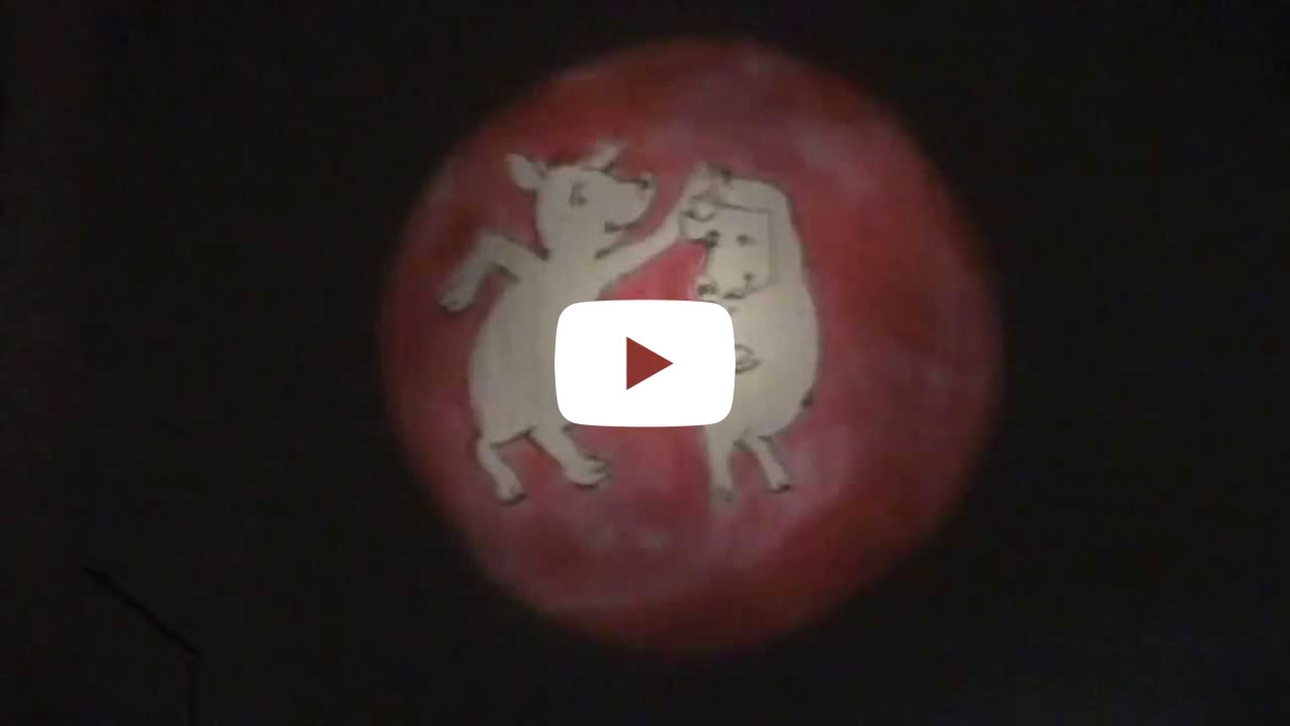 Video abspielen