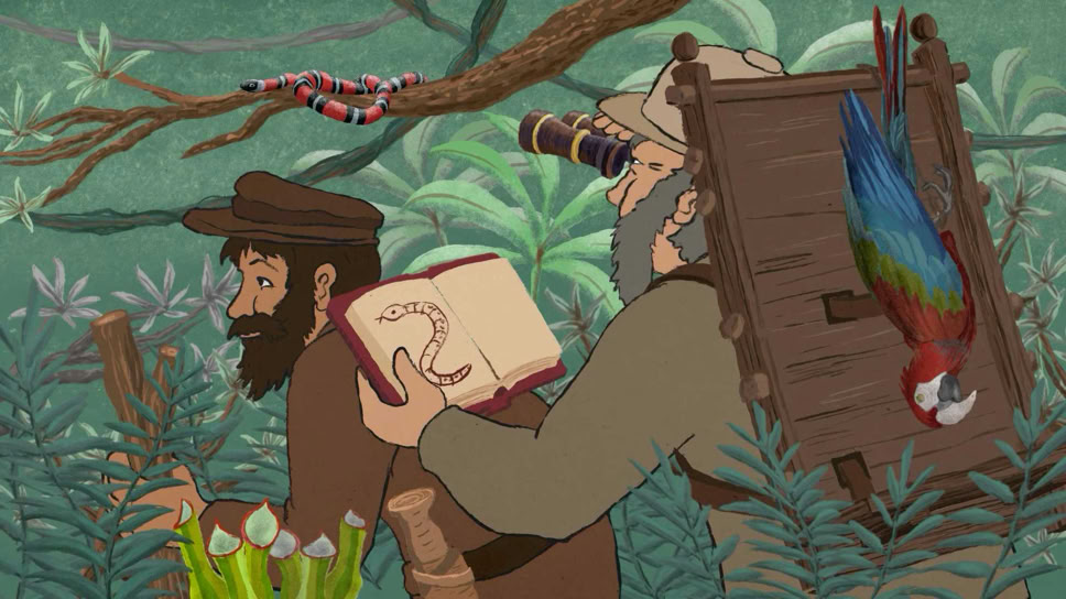In der freien Natur zeichnen und beobachten. amazonas Regenwald. "Am Anfang war ein Hugi" Naturmuseum Animation Illustration Trickfilm Schweiz