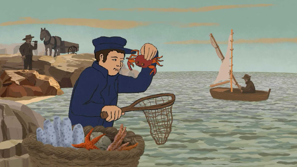 Der Forscher findet mit seinem Kescher eine Krabbe am Mittelmeer. "Am Anfang war ein Hugi" Naturmuseum Animation Illustration Trickfilm Schweiz