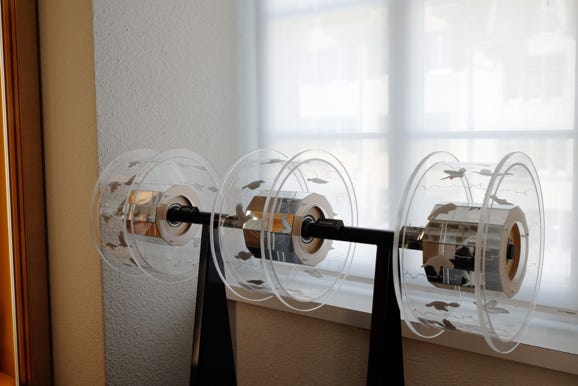 Diese Spezielanfertigung mit drei Praxinskopen wurde aus Plexiglaszylinder, Holz und Glasspiegeln für das Naturmuseum Solothurn gebaut. Beim Drehen an den transparenten Trommlen sind drei verschiedenen Vogelflugarten zu differenzieren: Eine Gans zeigt den Schlagflug, ein Falke ist über einem Feld im Rüttelflug während der Specht ein Meister im Bolzenflug ist. Animation, Produktion und Herstelltung Basil Vogt Zürich und Kornel Vogt Basel
