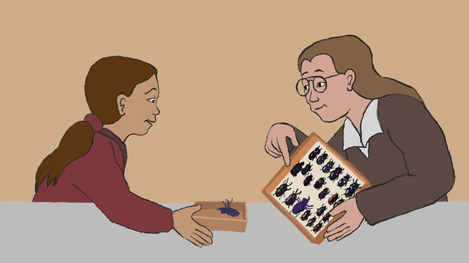 Käfer bestimmen. Insekten Sammlung. Museumsvermittlung 1980 "Am Anfang war ein Hugi" Naturmuseum Animation Illustration Trickfilm Schweiz